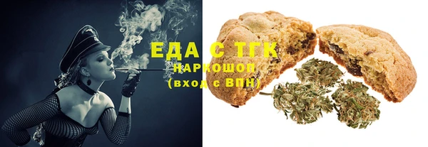 PSILOCYBIN Ельня