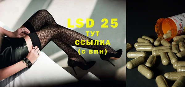 PSILOCYBIN Ельня
