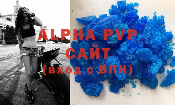 PSILOCYBIN Ельня
