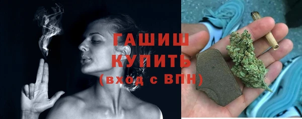 PSILOCYBIN Ельня