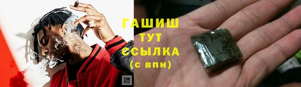 spice Елизово