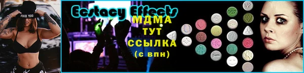 PSILOCYBIN Ельня