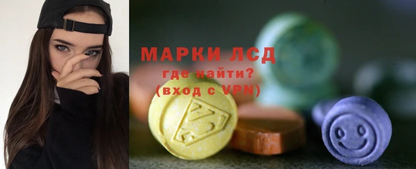 PSILOCYBIN Ельня