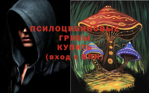 PSILOCYBIN Ельня