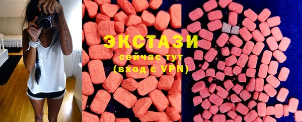 PSILOCYBIN Ельня