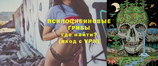 spice Елизово