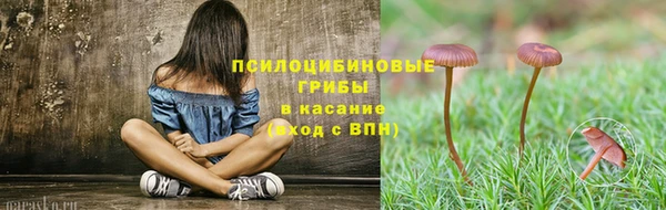 spice Елизово