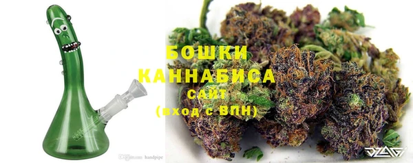 PSILOCYBIN Ельня
