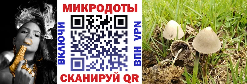 Галлюциногенные грибы прущие грибы МЕГА онион Кяхта